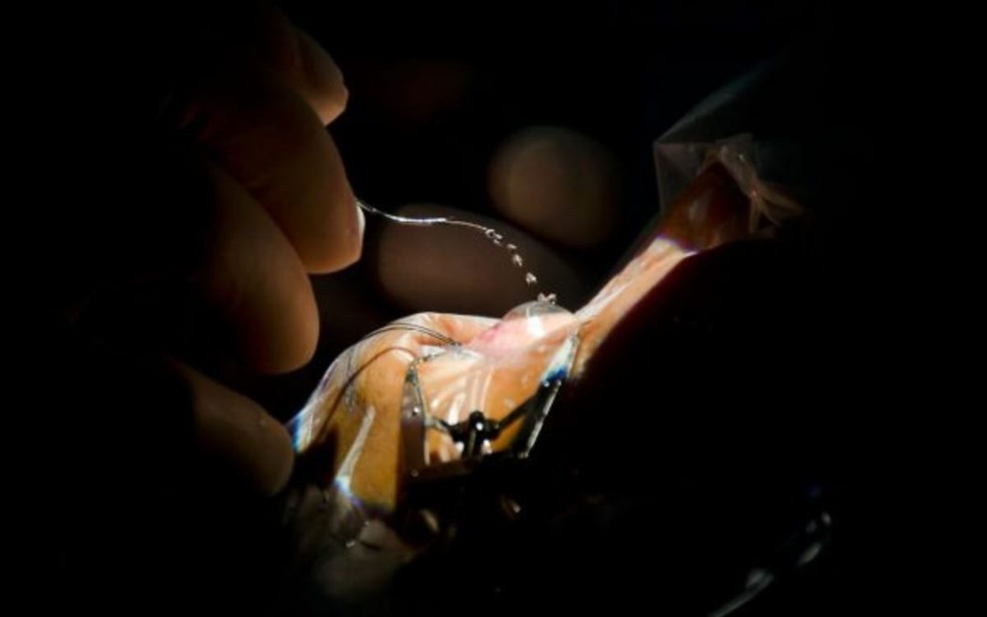 Coya, Peru – June 2018